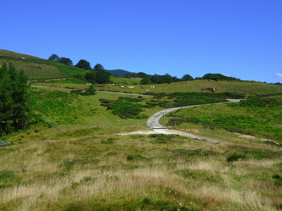 2015-08-Sud-Ouest-France-008