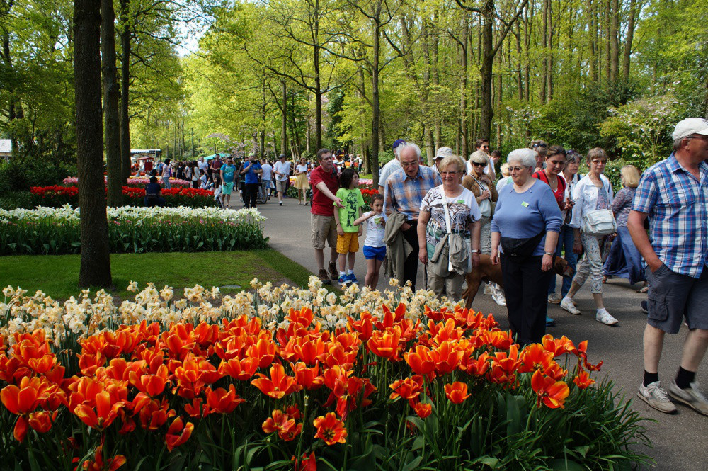 2016-05-Keukenhof-002