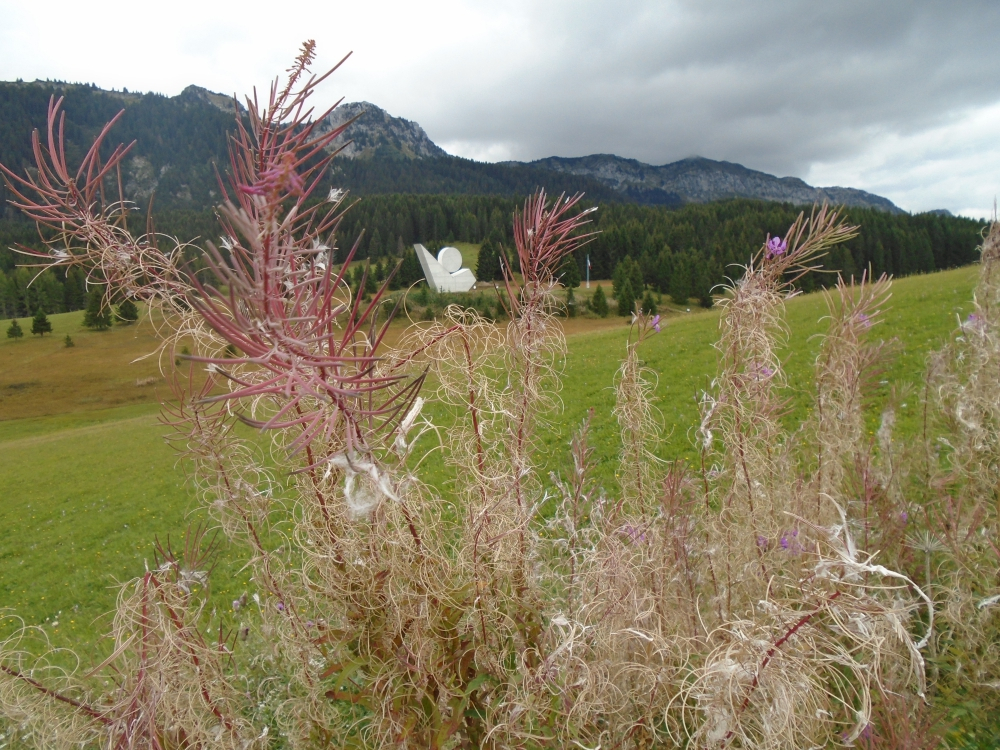 2017-09-Savoie-038
