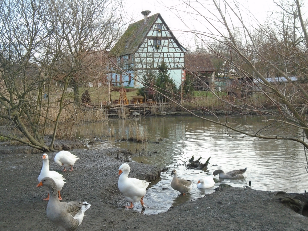 2017-12-Alsace-009