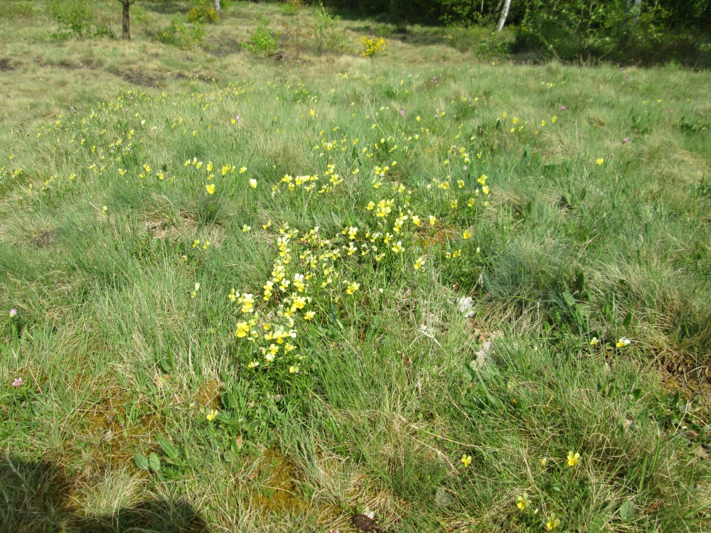 2018-04-Plombieres-014