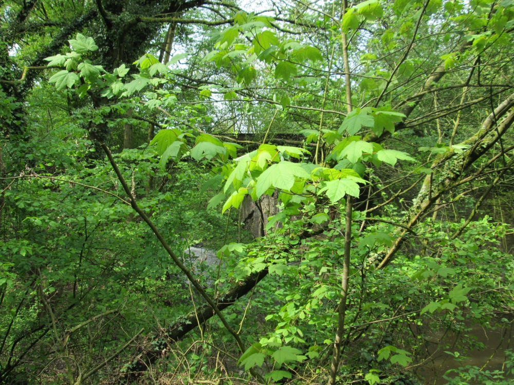 2018-04-Plombieres-024