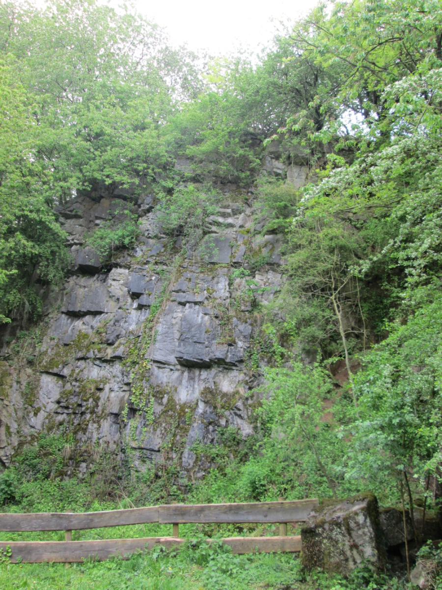2018-04-Plombieres-027