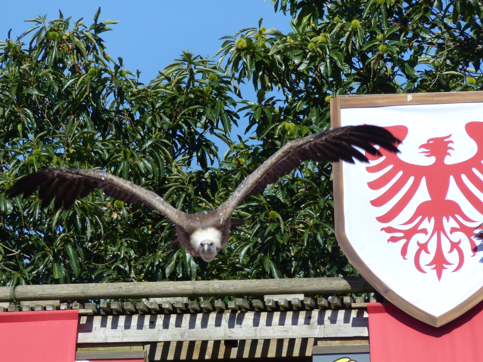 2018-08-Puy-du-Fou-052