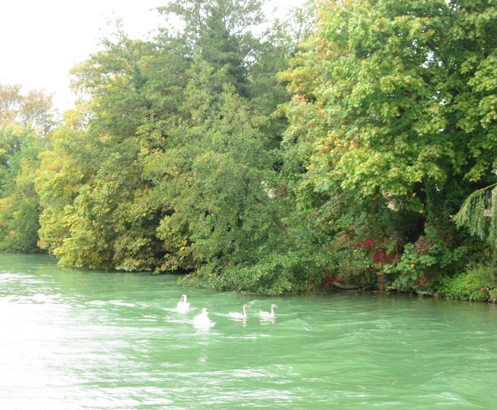 2018-09-Champagne-072