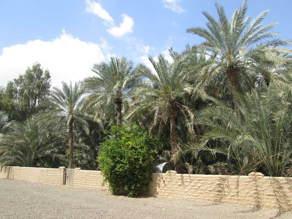 2019-03-Dubai-112