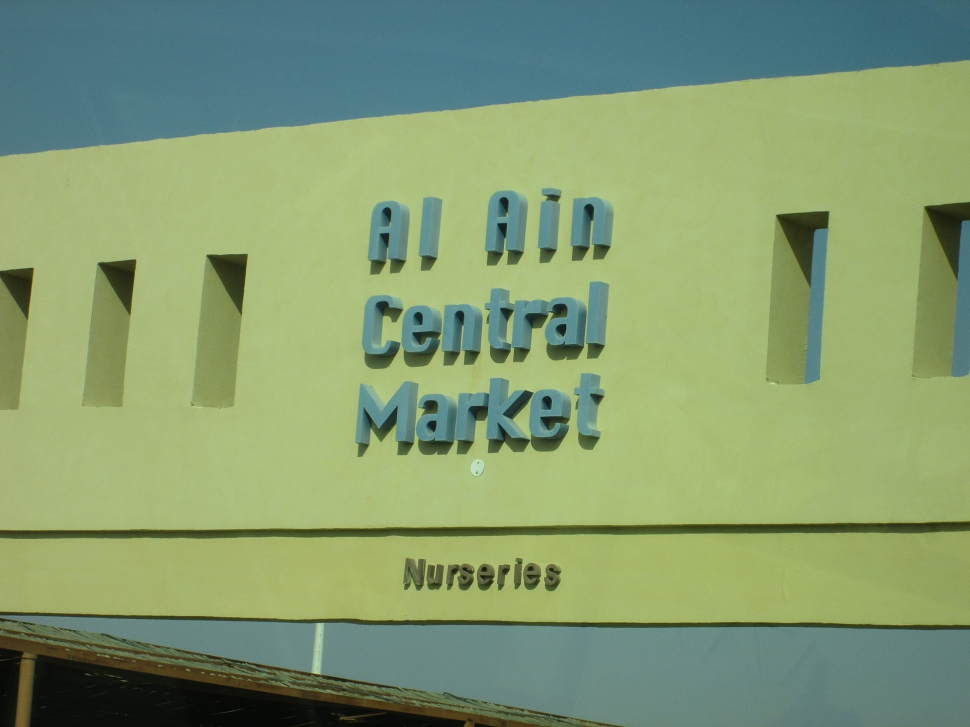 2019-03-Dubai-118