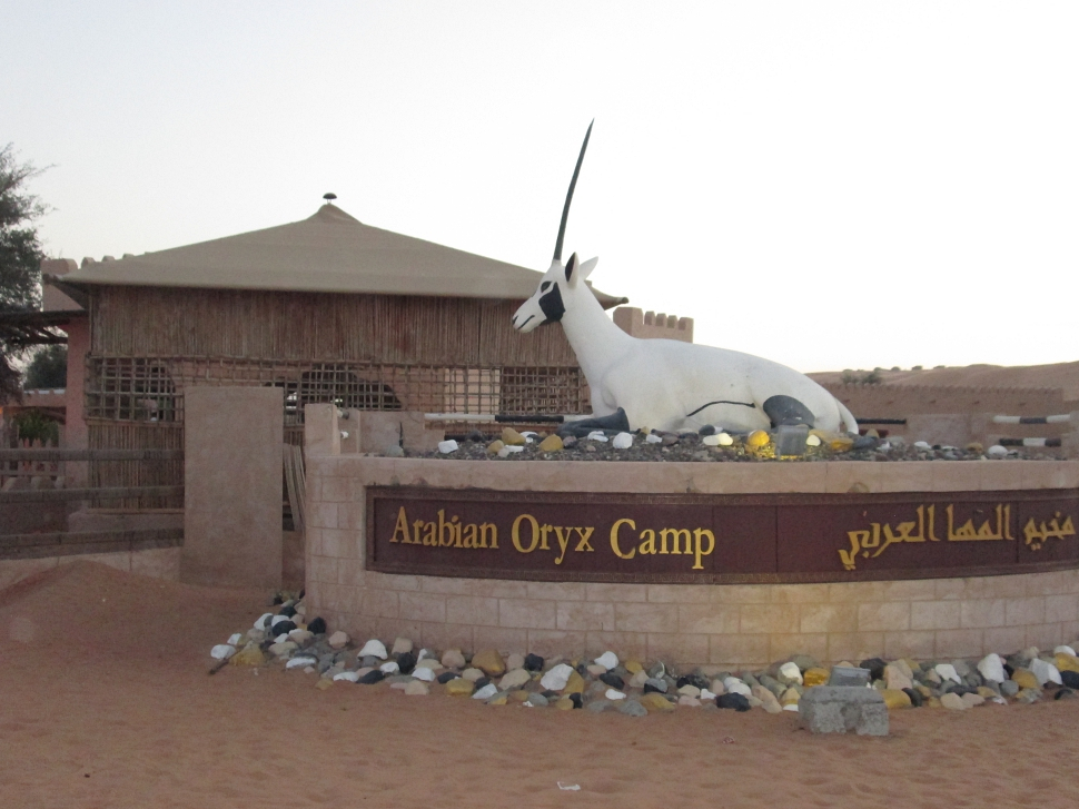 2019-03-Dubai-169