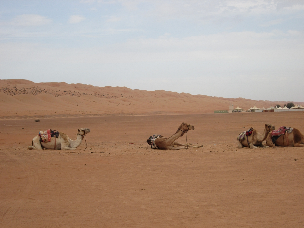 2019-03-Dubai-173