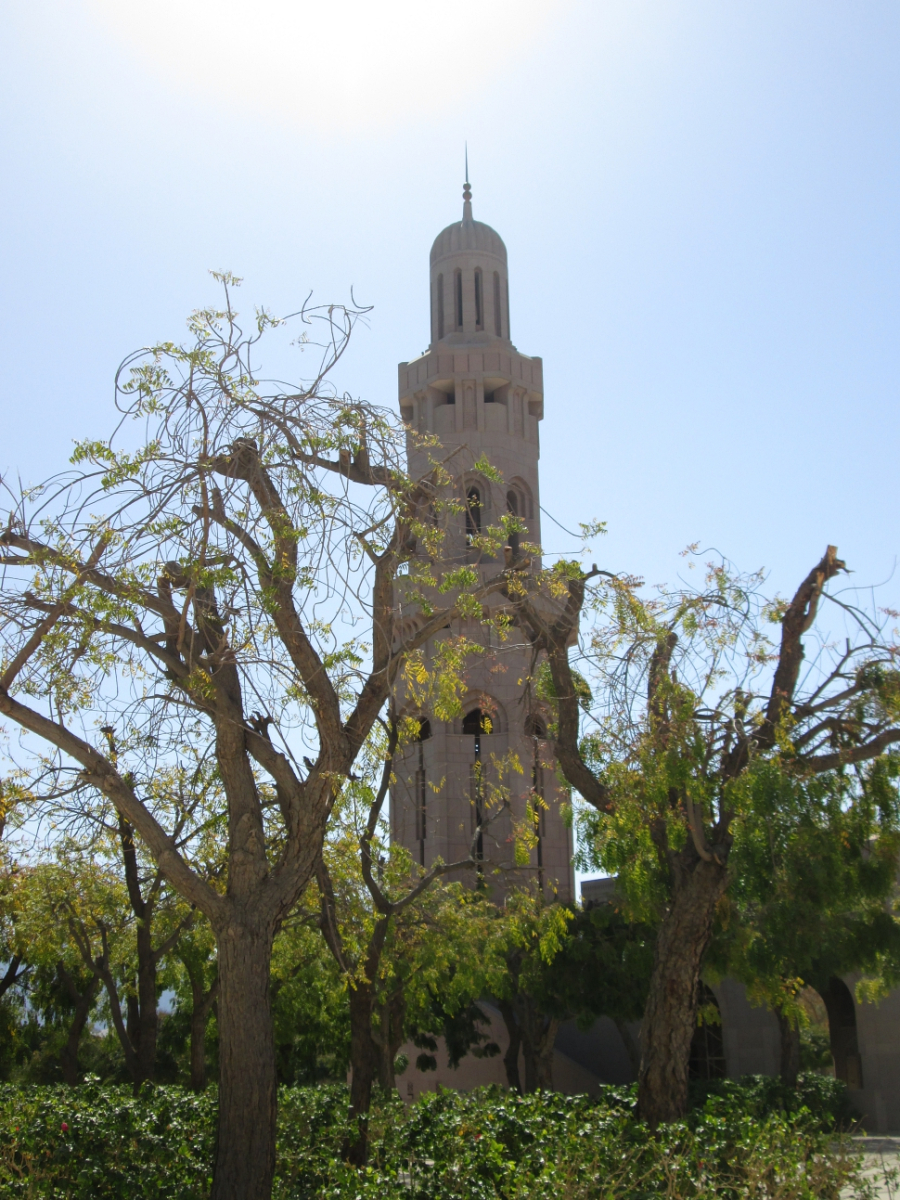 2019-03-Dubai-230