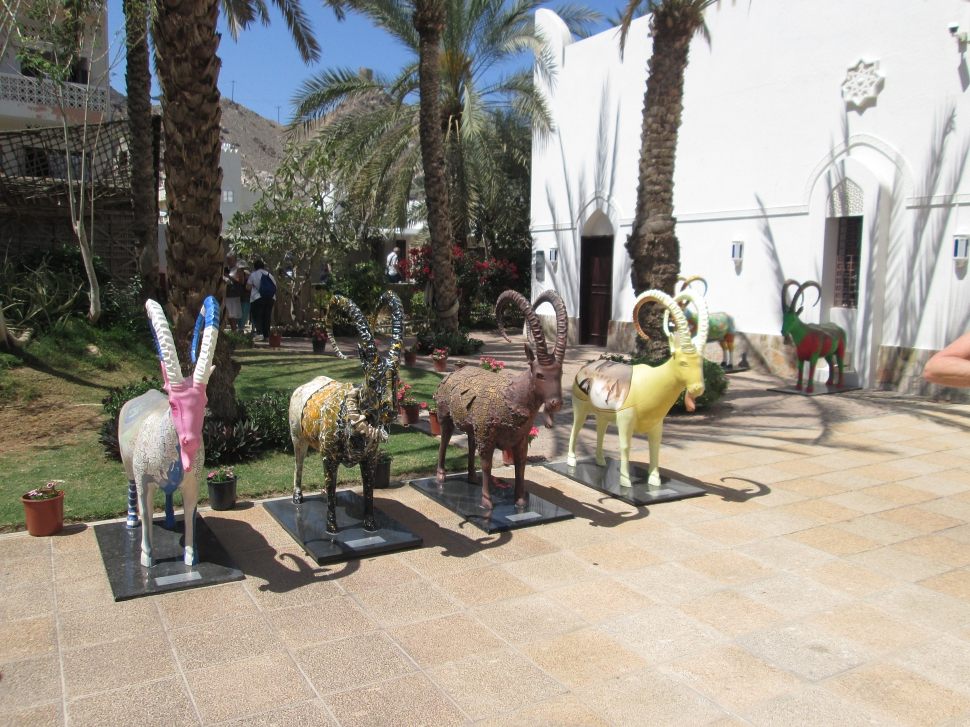 2019-03-Dubai-242