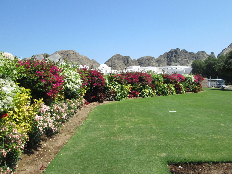 2019-03-Dubai-249