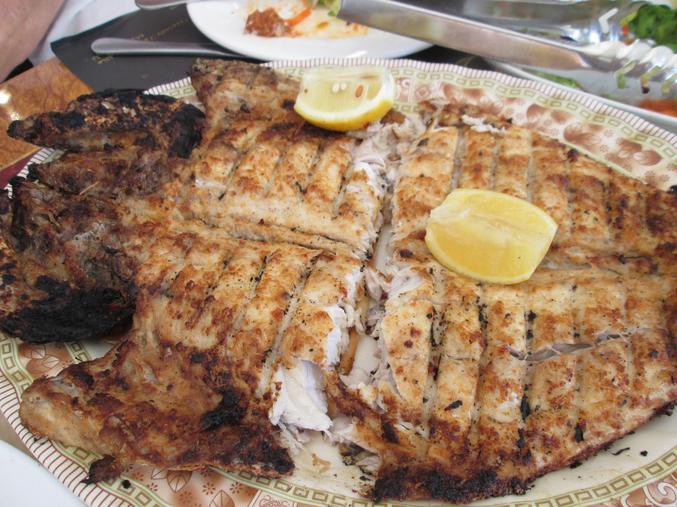 2019-03-Dubai-256