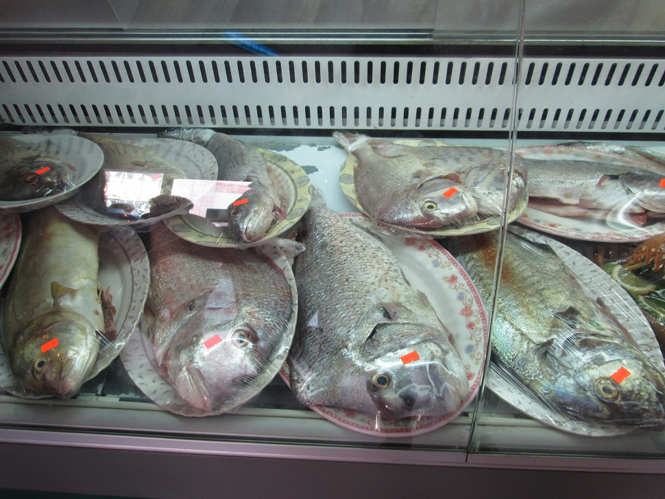 2019-03-Dubai-257