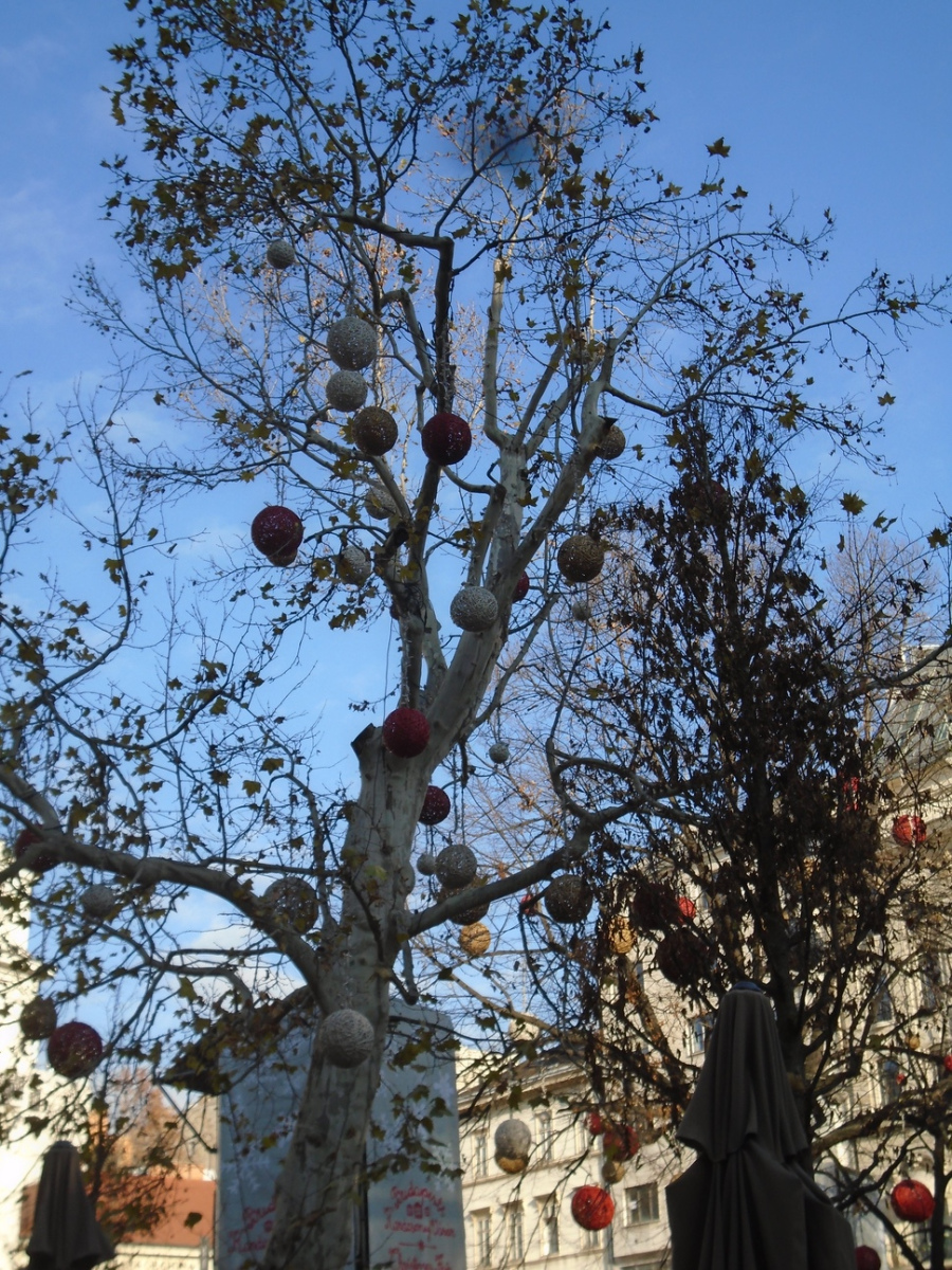 2019-12-Danube-089