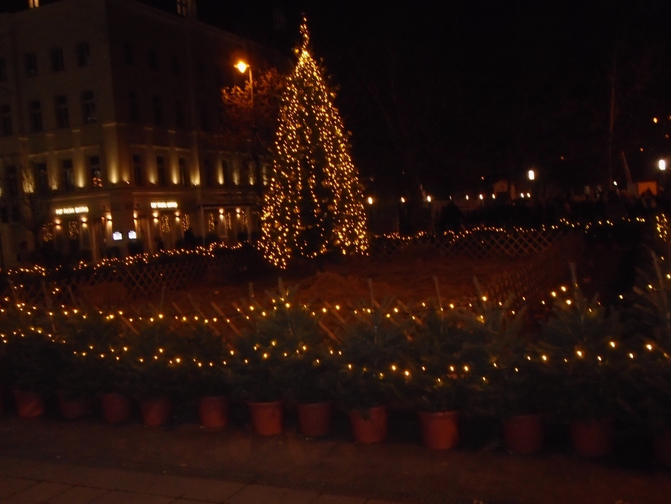 2019-12-Danube-101