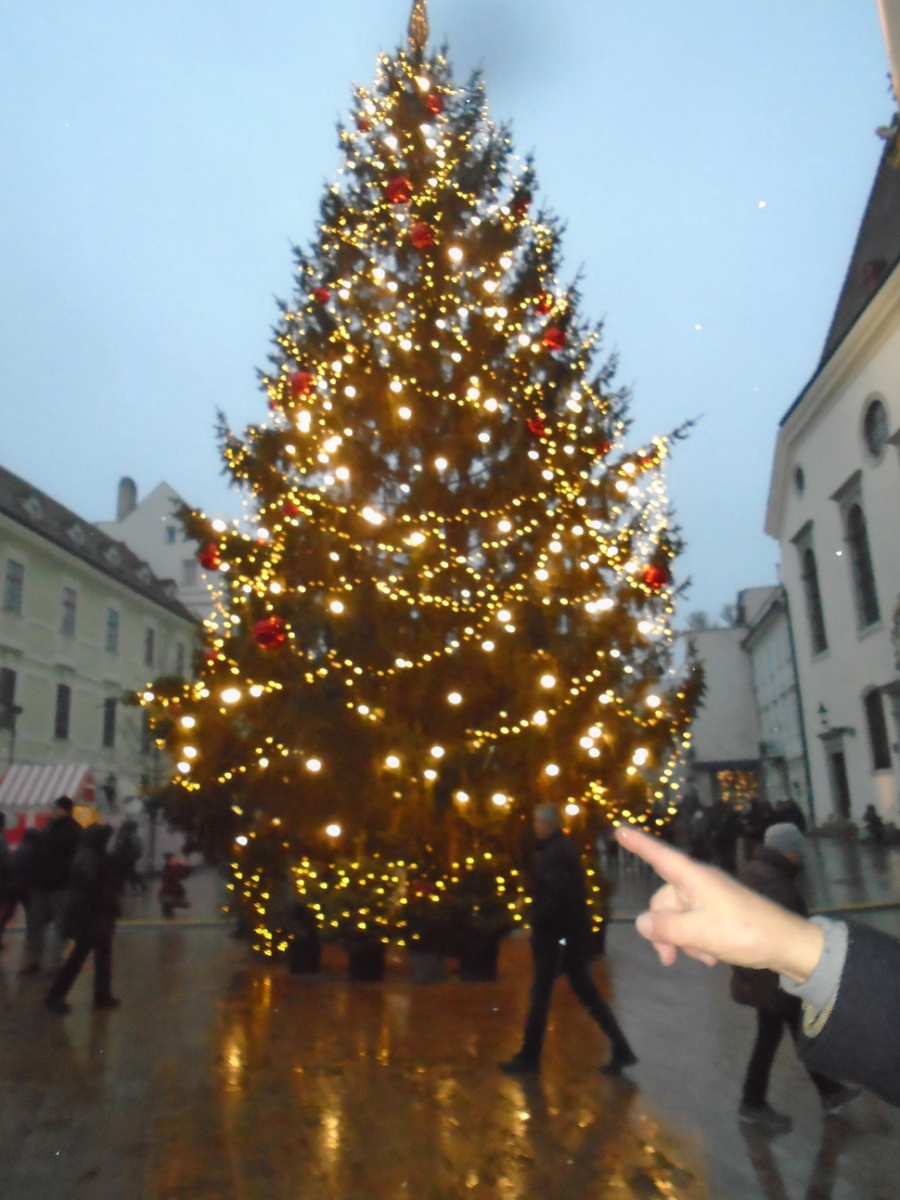 2019-12-Danube-118