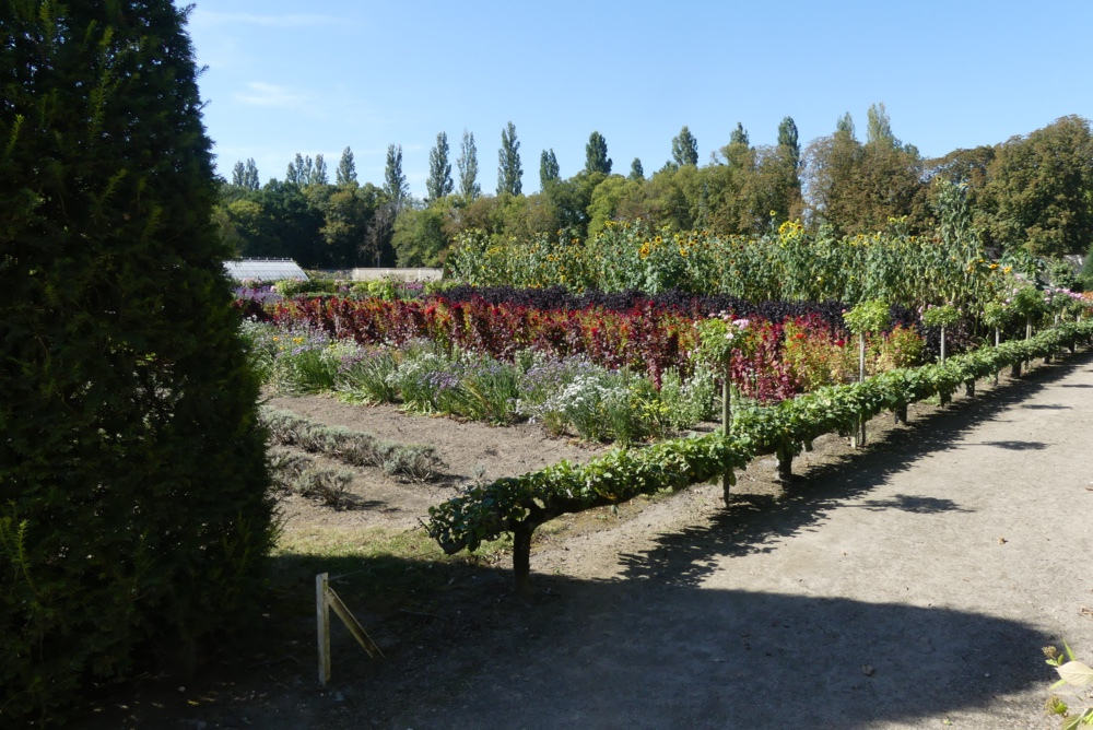 2021-09-La-Touraine-011