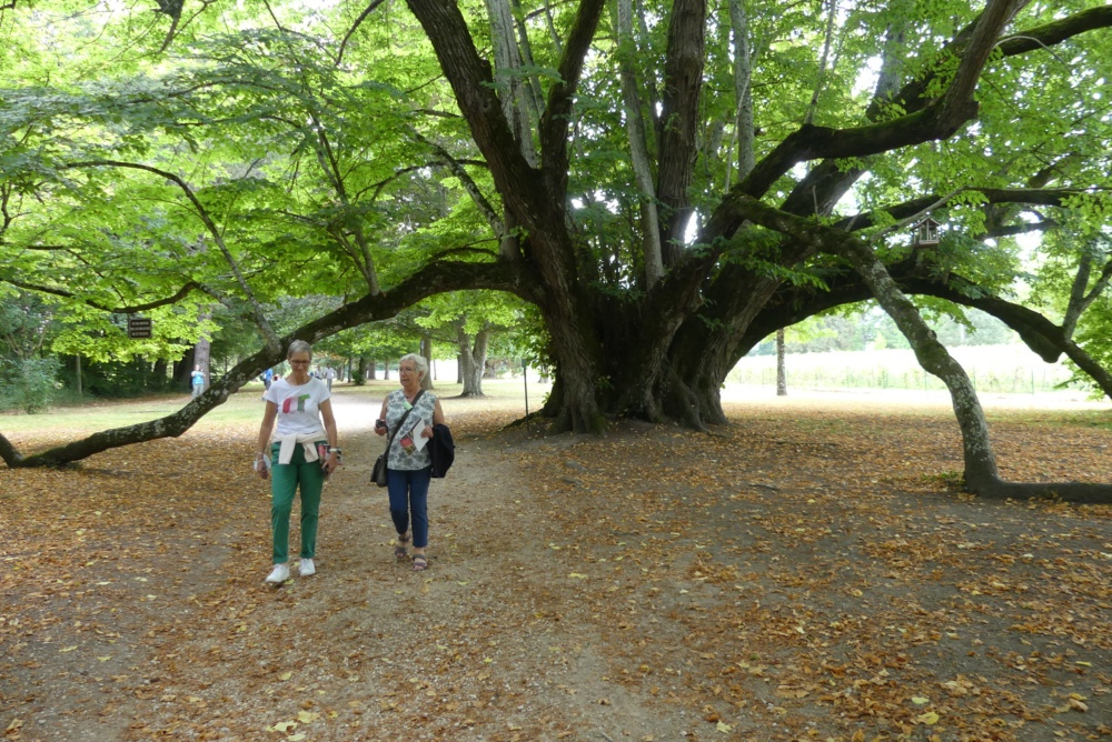 2021-09-La-Touraine-026