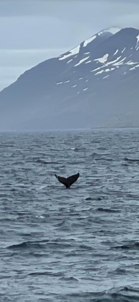 2022-06-Islande-005