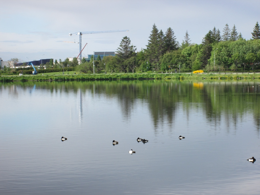 2022-06-Islande-024