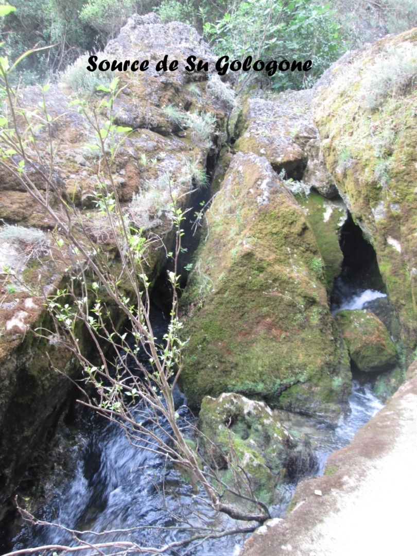 2023-06-Sardaigne-203