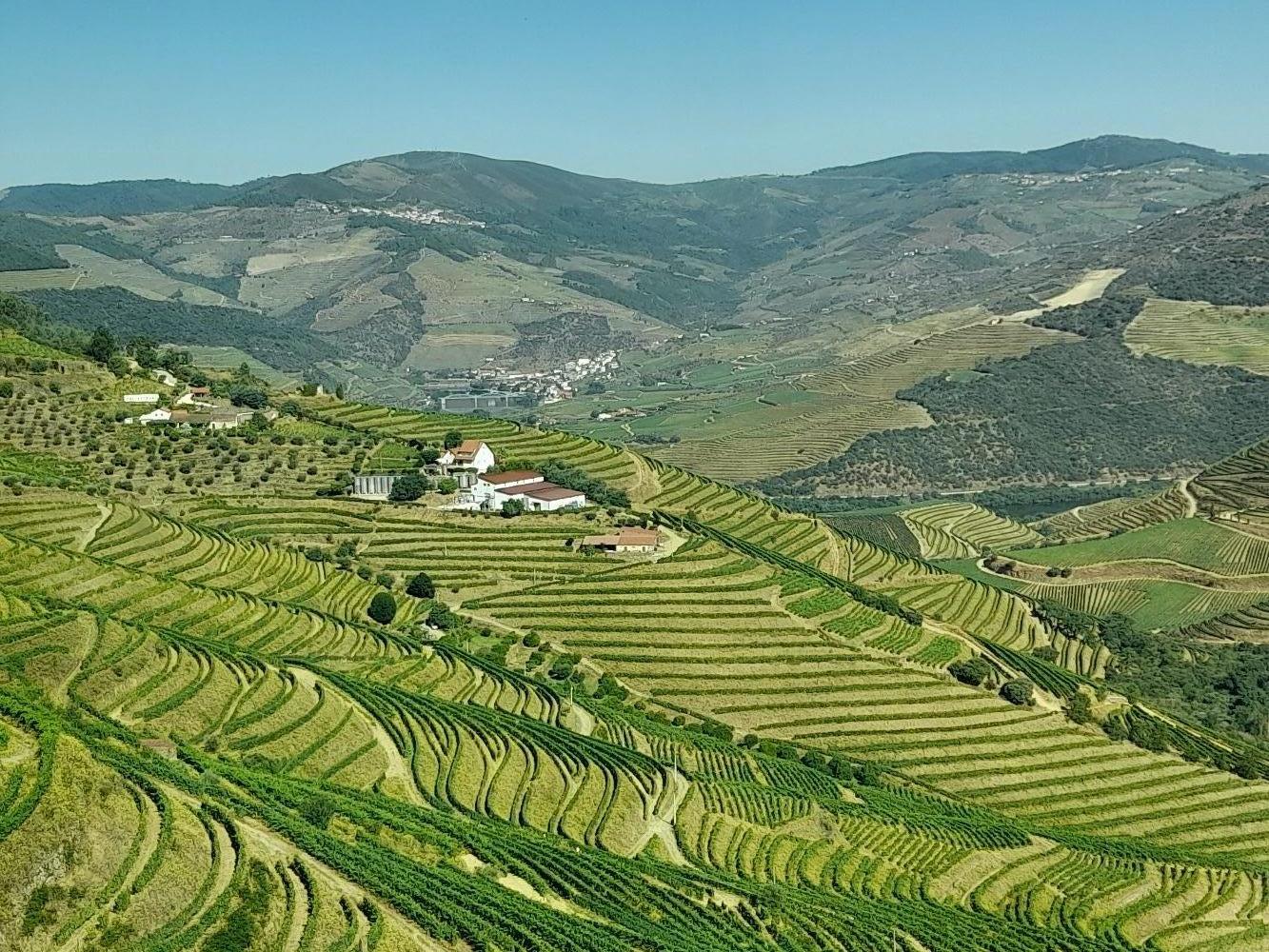 2024-09-Le-Douro-009