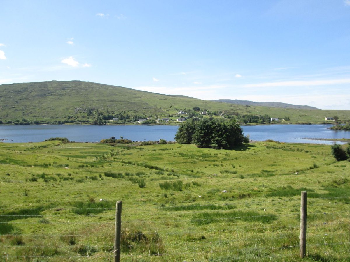 2025-05-Irlande-009