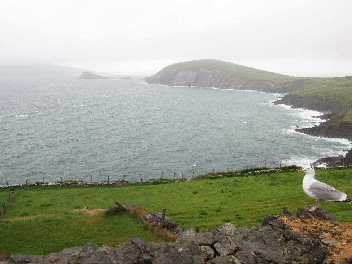 2025-05-Irlande-068