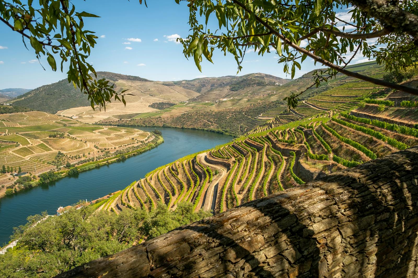 Retrouvailles "Croisière sur le Douro"