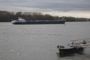 2015-11-Wiesbaden-065