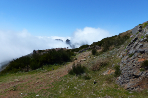 2018-05-Madere-059