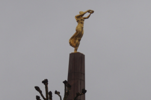 2018-11-Alsace-031