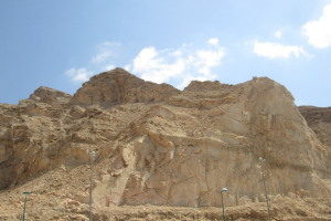 2019-03-Dubai-113