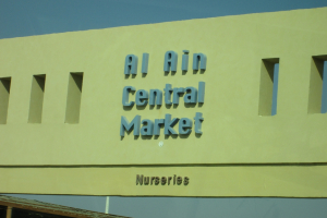 2019-03-Dubai-118