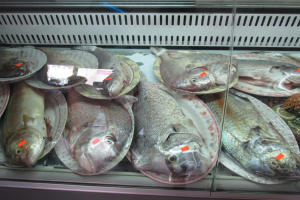 2019-03-Dubai-257