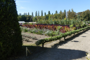2021-09-La-Touraine-011