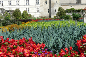 2021-09-La-Touraine-049