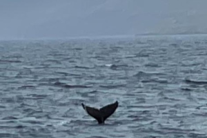 2022-06-Islande-005