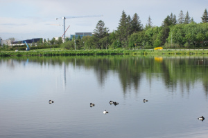 2022-06-Islande-024