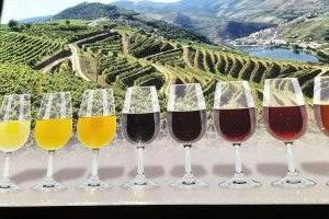 2024-09-Le-Douro-004