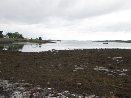 2025-05-Irlande-028