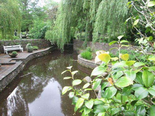 2025-05-Irlande-058